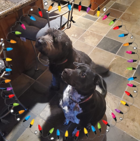 Meet your Posher, Lisa - Picture 1 of 1